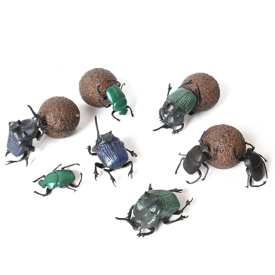 โมเดลแมลงจำลอง แมลงวันหอย มารา - Kids Toys Under 200 บทวิจารณ์และราคา