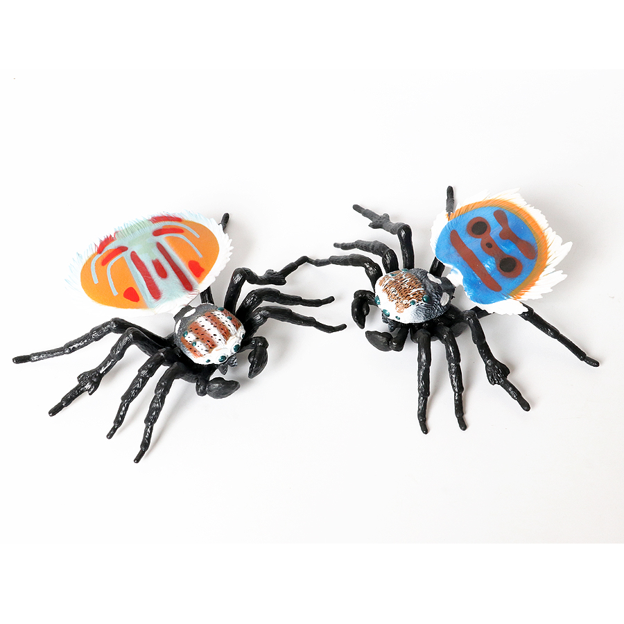 โมเดลแมลงจำลอง แมลงวันหอย มารา - Kids Toys Under 200 บทวิจารณ์และราคา