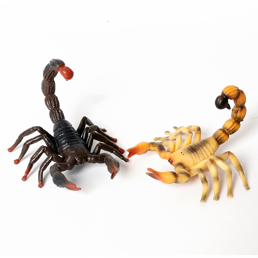 โมเดลแมลงจำลอง แมลงวันหอย มารา - Kids Toys Under 200 บทวิจารณ์และราคา